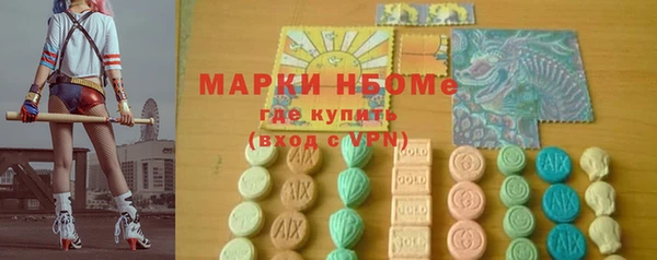 индика Бугульма