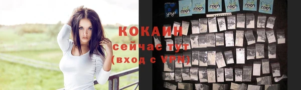 хмурый Вяземский