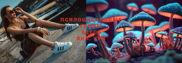 хмурый Вяземский