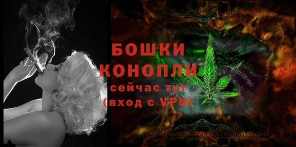 хмурый Вяземский